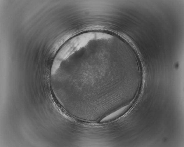 X0000115611337200912011541