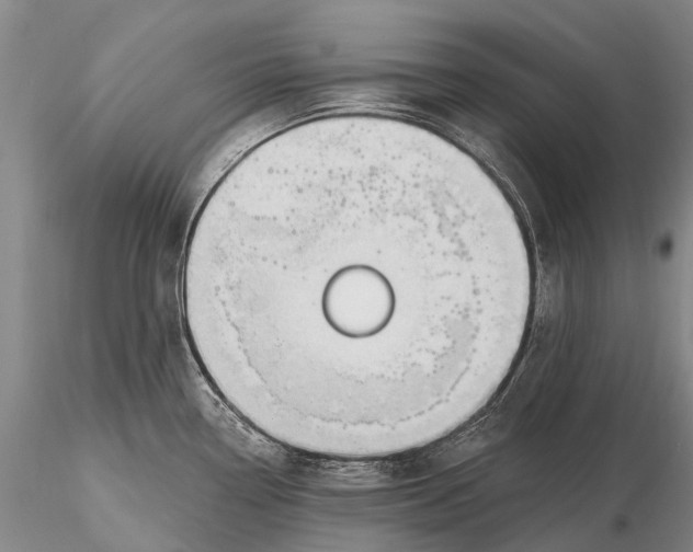X0000115611338200912011541