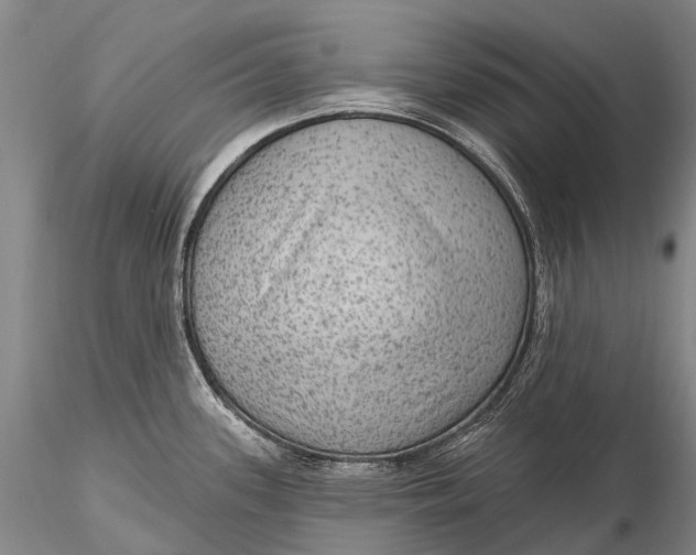 X0000115611339200912011541