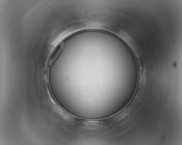 X0000115611342200912011541