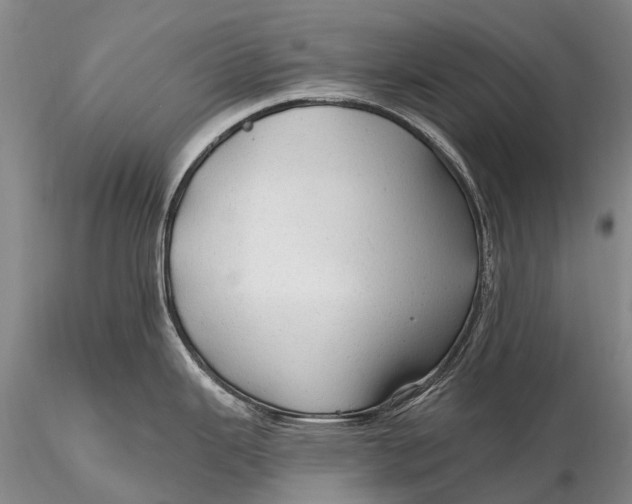 X0000115611343200912011541