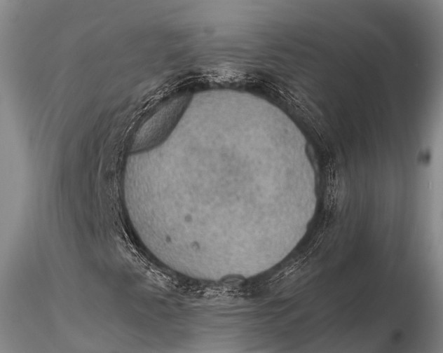 X0000115611345200912011541