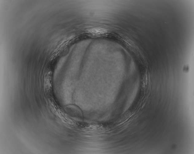 X0000115611346200912011541