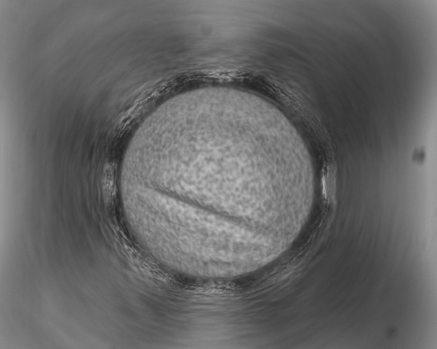 X0000115611347200912011541