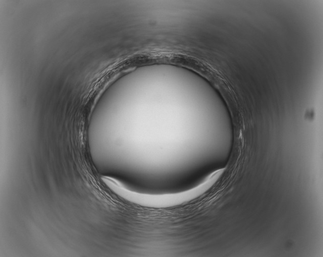 X0000115611348200912011541