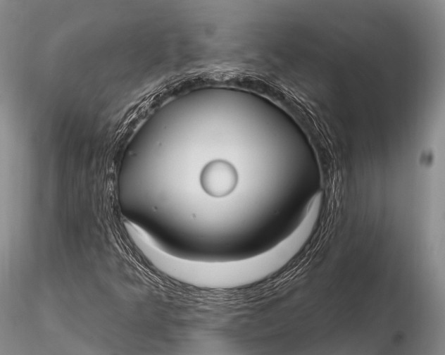 X0000115611349200912011541