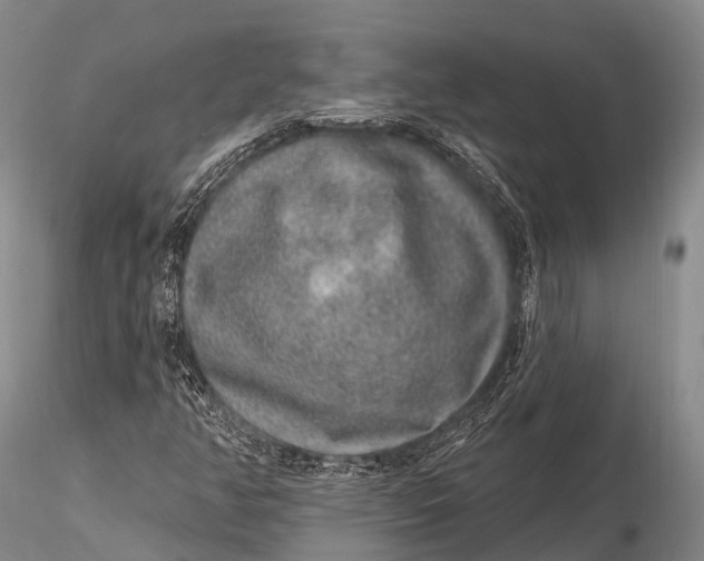 X0000115611350200912011541