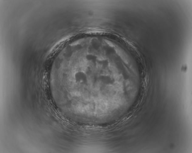 X0000115611351200912011541