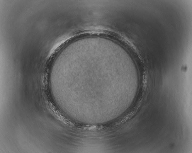 X0000115611352200912011541