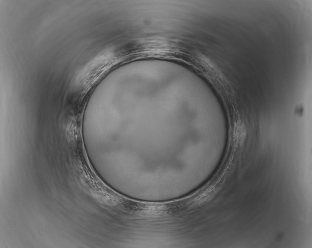 X0000115611353200912011541