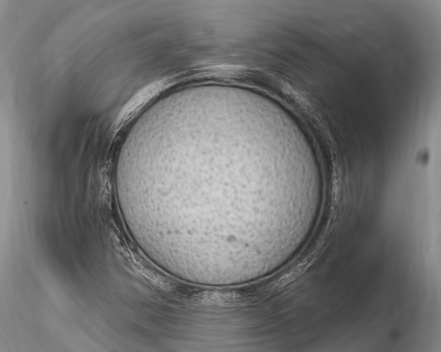 X0000115611354200912011541