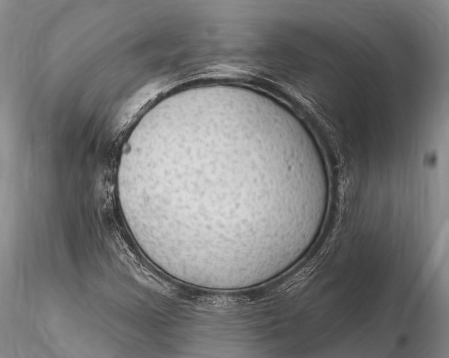 X0000115611355200912011541