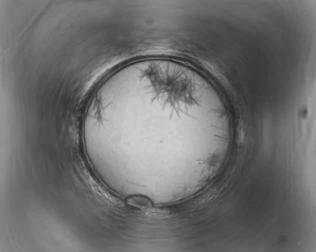X0000115611356200912011541