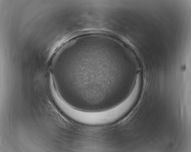 X0000115611357200912011541