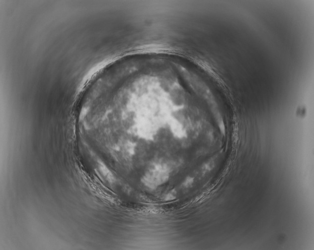 X0000115611358200912011541