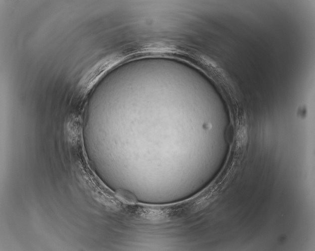 X0000115611361200912011541