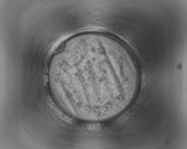 X0000115611363200912011541