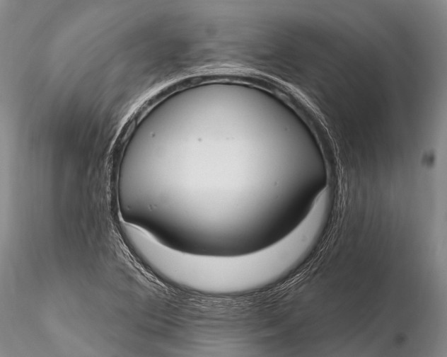 X0000115611364200912011541