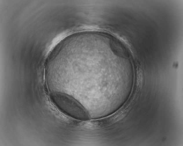 X0000115611365200912011540
