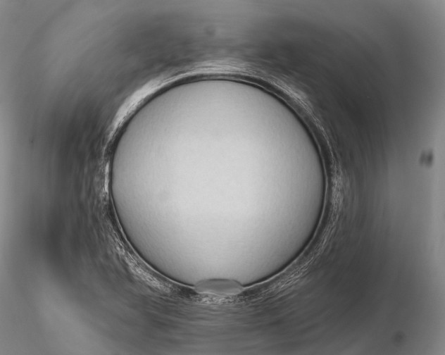 X0000115611366200912011540