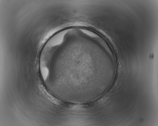 X0000115611367200912011540