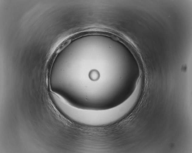 X0000115611368200912011540