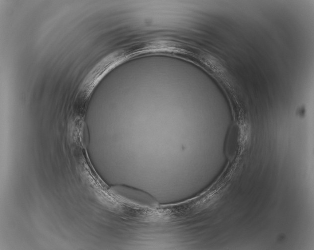 X0000115611369200912011540