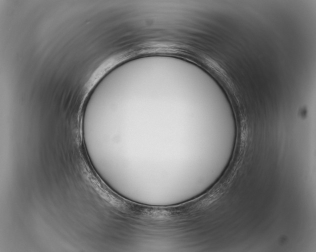 X0000115611370200912011540