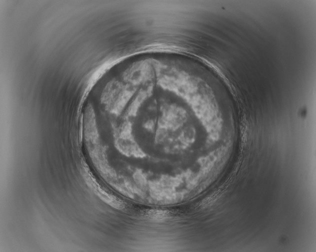 X0000115611371200912011540