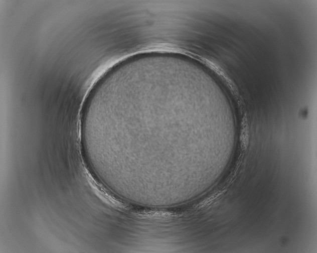 X0000115611372200912011540