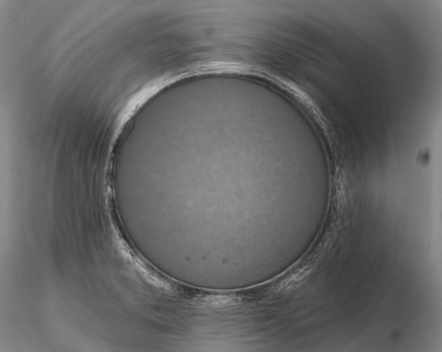 X0000115611373200912011540