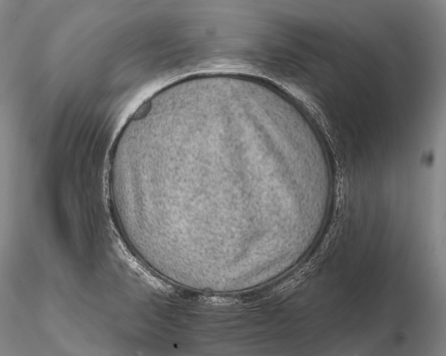 X0000115611374200912011540