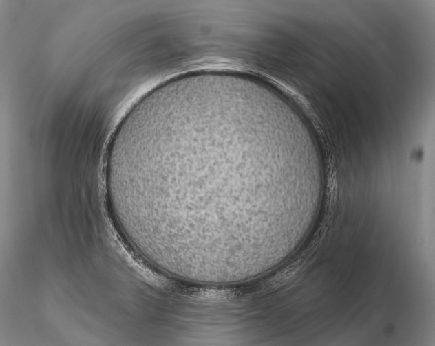 X0000115611375200912011540