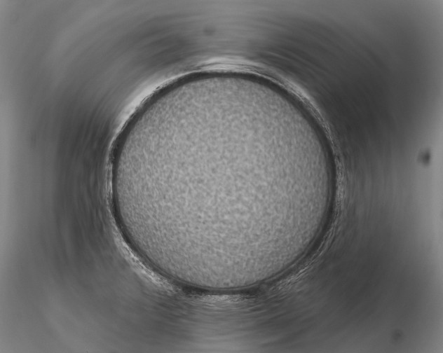 X0000115611376200912011540