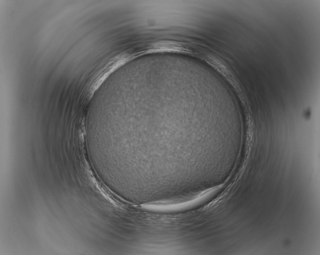 X0000115611377200912011540