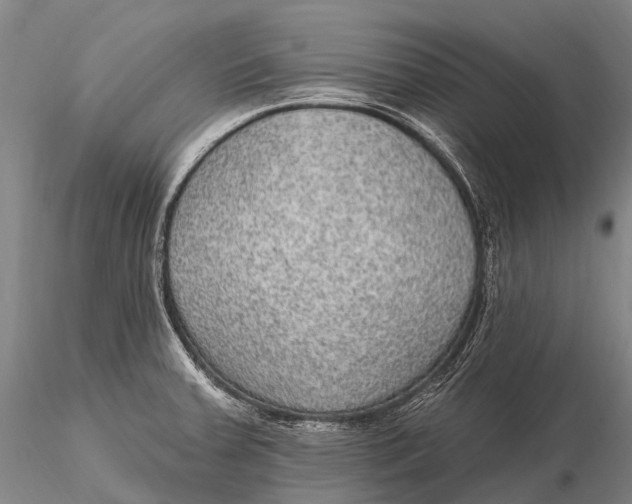 X0000115611379200912011540