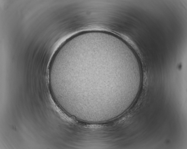 X0000115611380200912011540