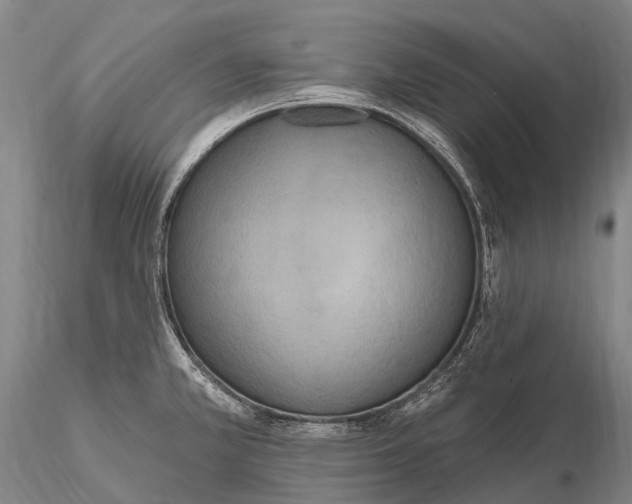 X0000115611381200912011540