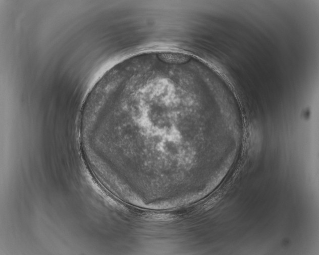 X0000115611382200912011540