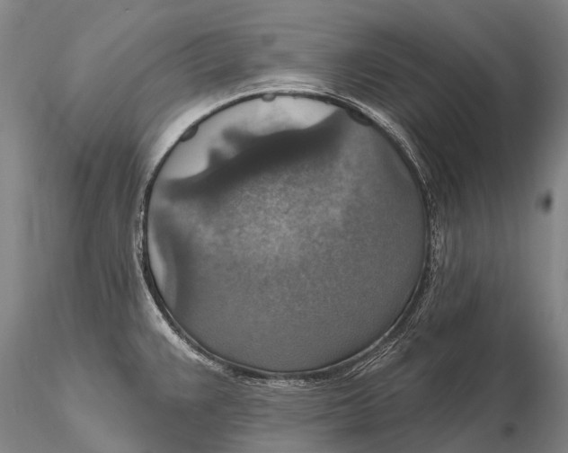 X0000115611383200912011540