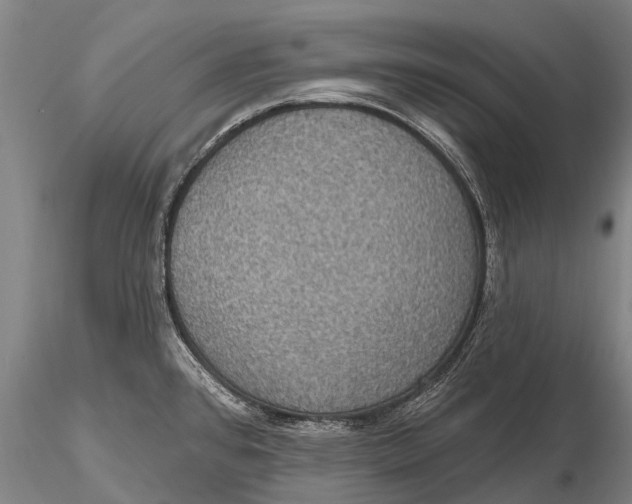 X0000115611384200912011540