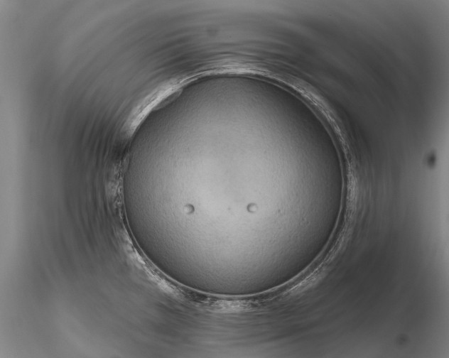 X0000115611385200912011540