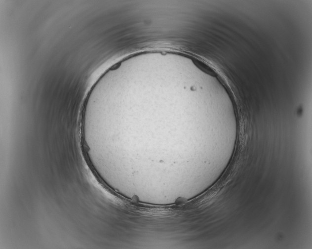 X0000115611387200912011540