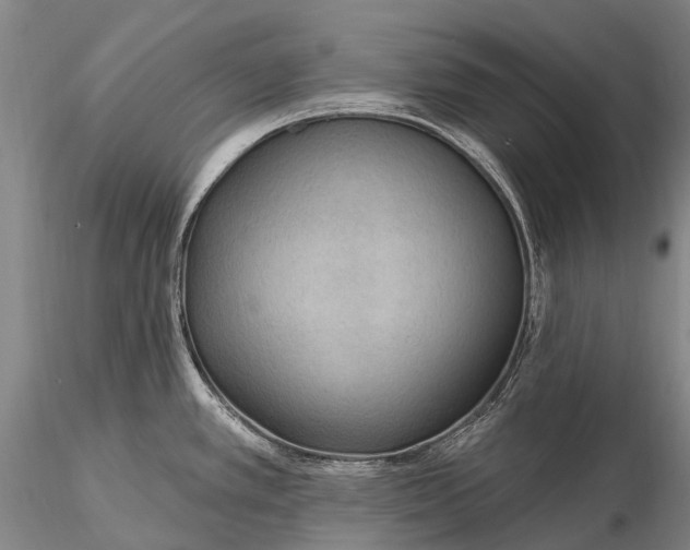X0000115611389200912011540