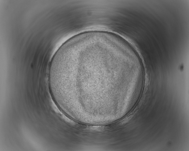 X0000115611390200912011540