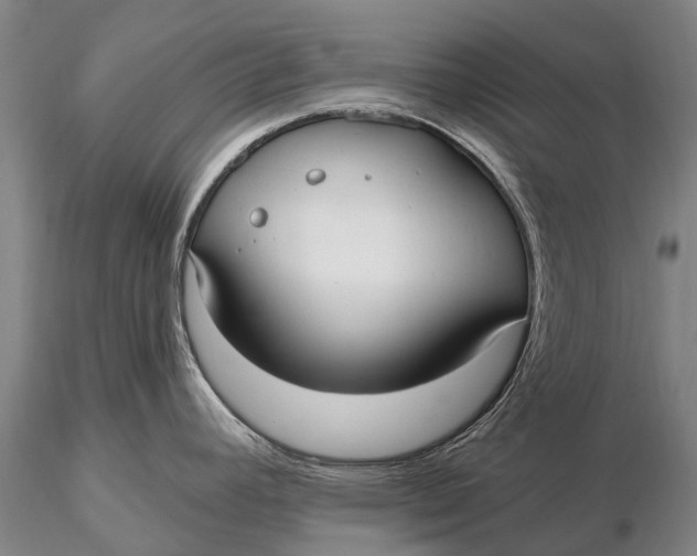 X0000115611392200912011540