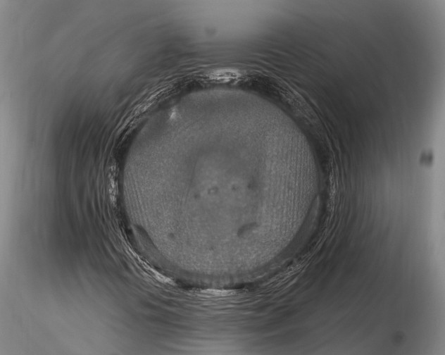 X0000115611394200912011539