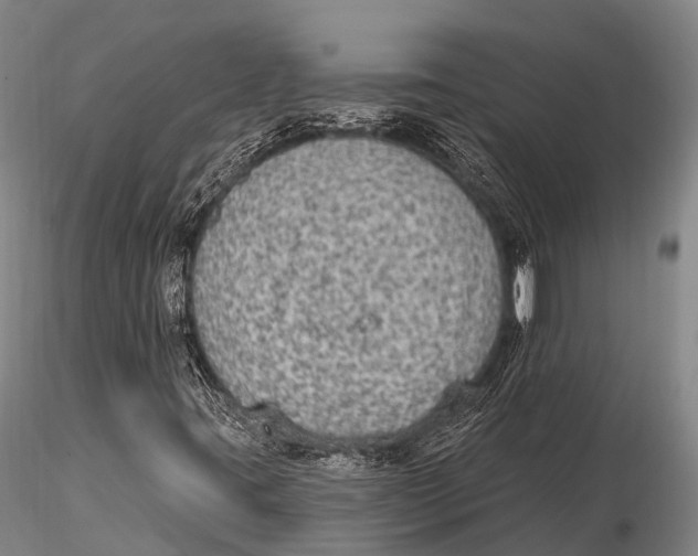 X0000115611395200912011539
