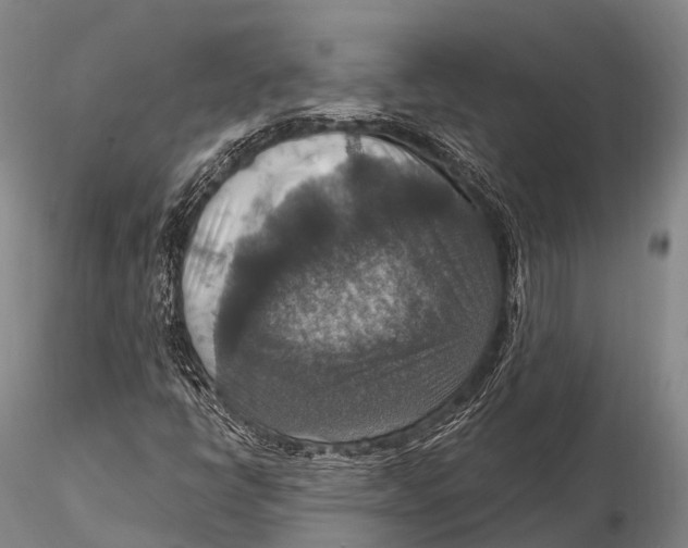 X0000115611398200912011539