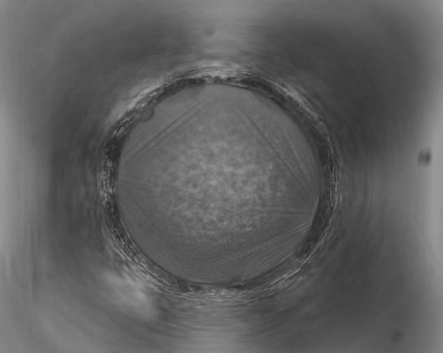 X0000115611399200912011539